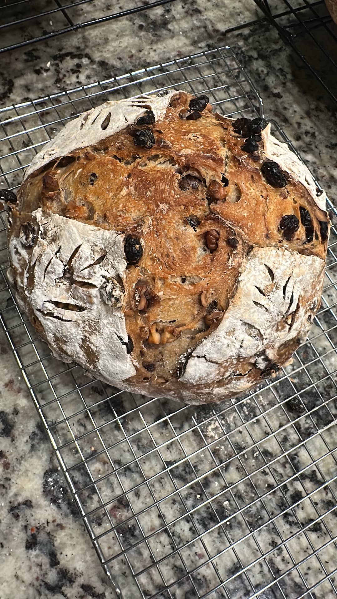 cranberry-walnut